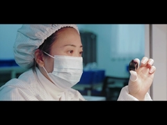 introducción de compañía